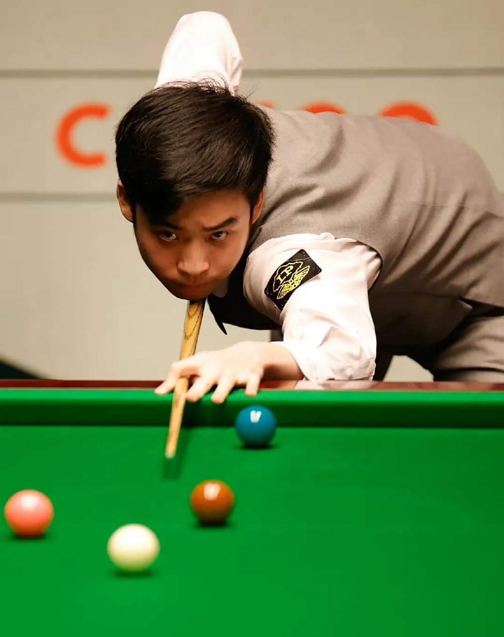 进行了全面 进行了全面